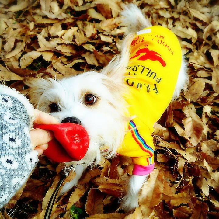 9e562294 781a 40dc 8684 d9b241ba03a8 1514638270066