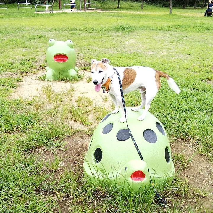 9e56b096 442a 4130 b987 ce8ddd197073 1567234553886