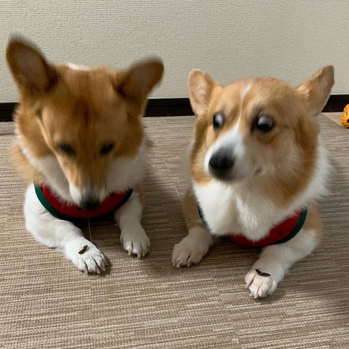 9e56bf20 bdf3 4294 96f2 2de53ee3ce24 1561614510873