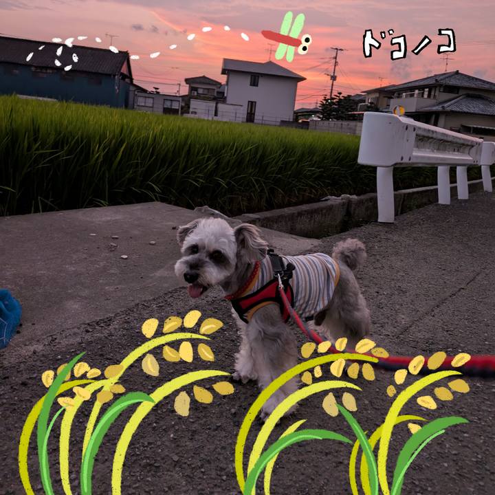 9e56cd4b 77cf 42c5 b109 51dce8cabe01 1761180983701