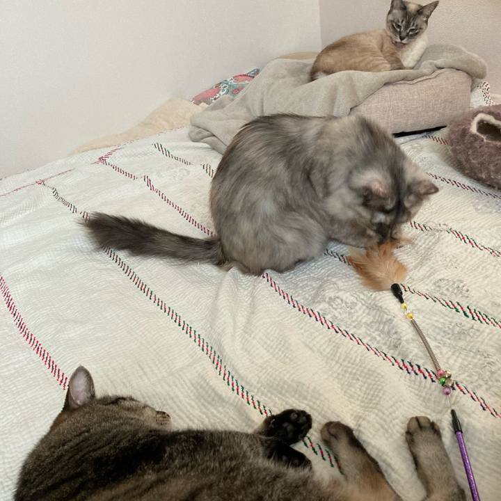 9e56dfd3 753f 44b6 8ffb f30ea6ad4446 1744620932386