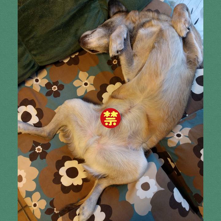 9e56eeab c674 4ecc 8b55 09b2480eff5d 1707006202339