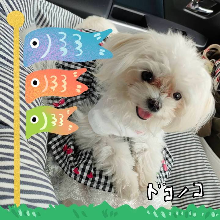 9e571cdb 0058 40a5 b7f2 c82a0c8874e7 1714879781951