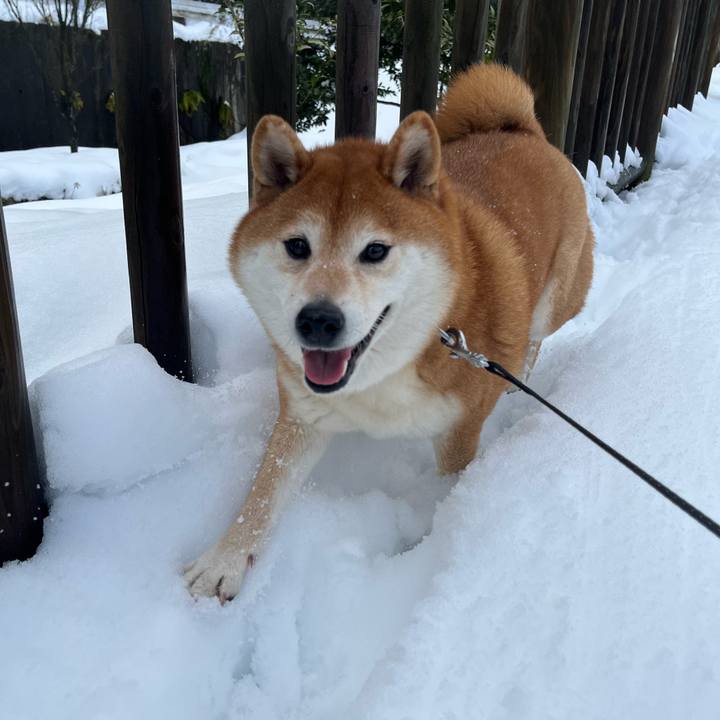 9e575e9e a52b 4565 8525 cbfbbd68ce67 1640658151301