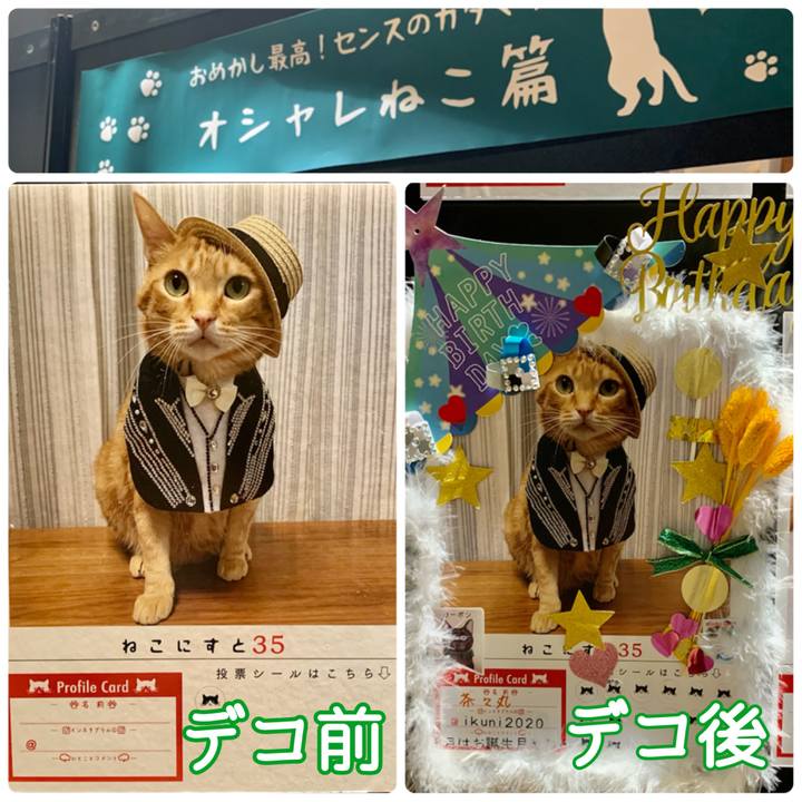 9e57658c fefe 4107 bbc9 025be01d2ee3 1622787570553