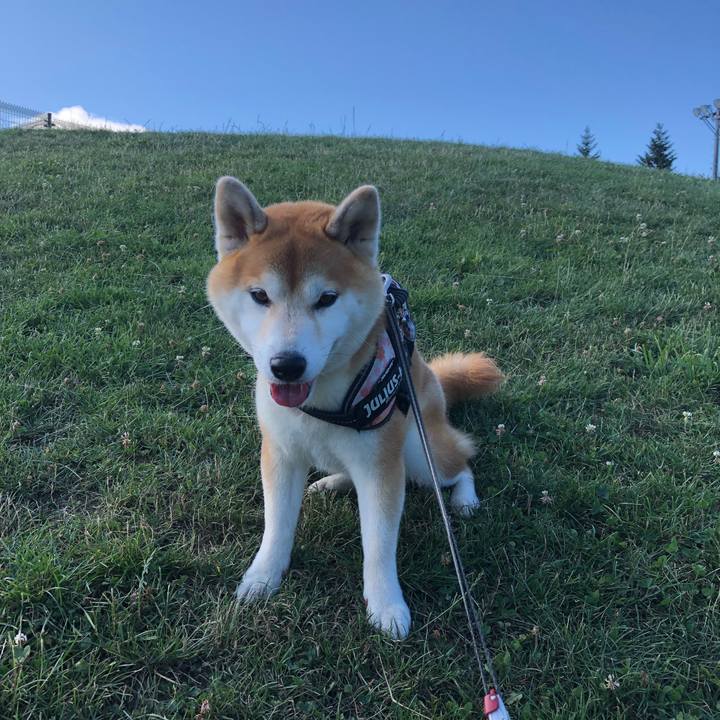 9e57ac54 c6ed 4edb 92b8 5e9a4c5b2c2f 1563784997376