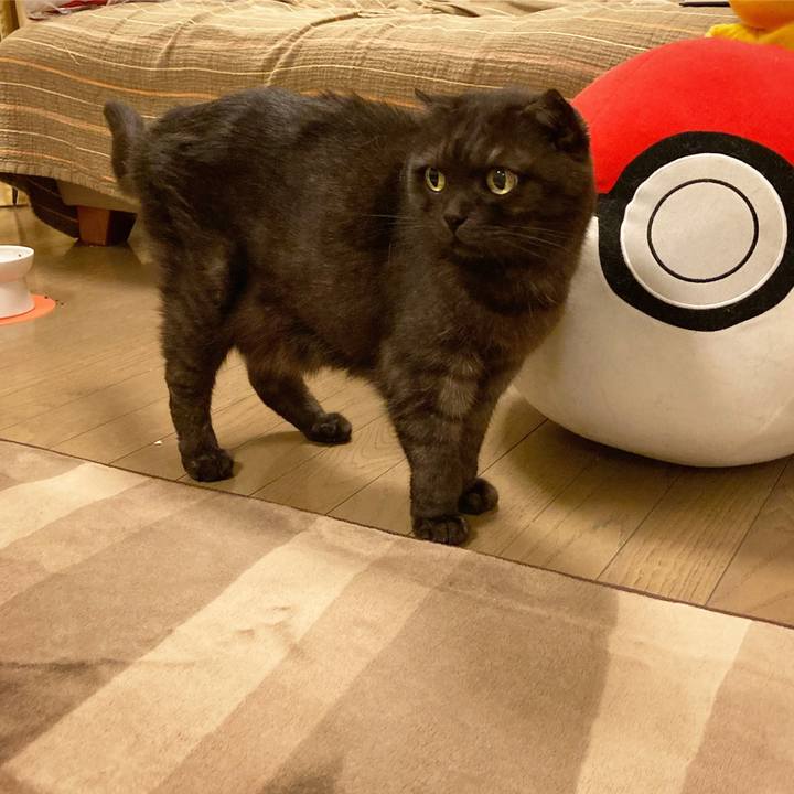 9e582822 d5ba 4acf a934 f4349d1e7f7d 1593955230114