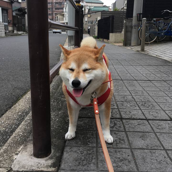 9e584faa 5ffd 4018 b0f3 77ccf1784625 1563765056489