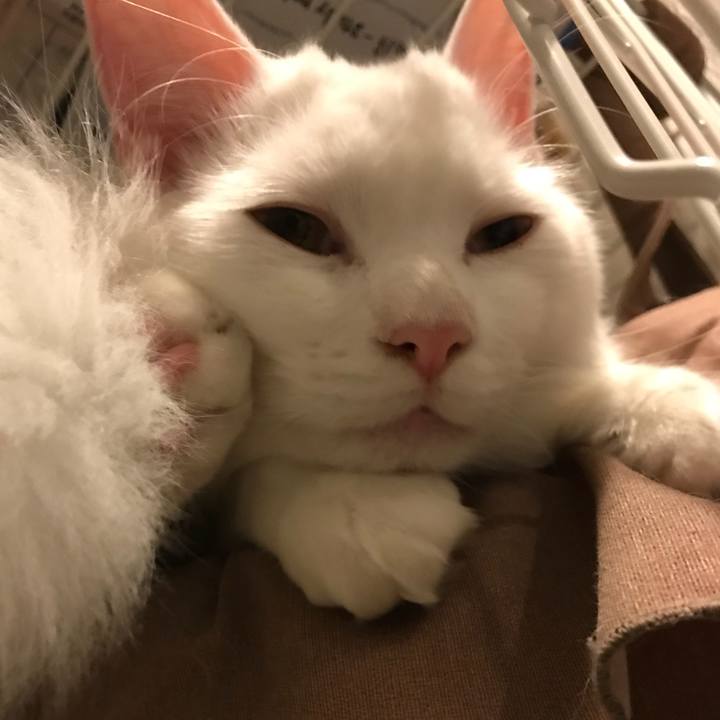 9e58bce1 4ebe 4764 aa50 654deadd1c5a 1519732581839