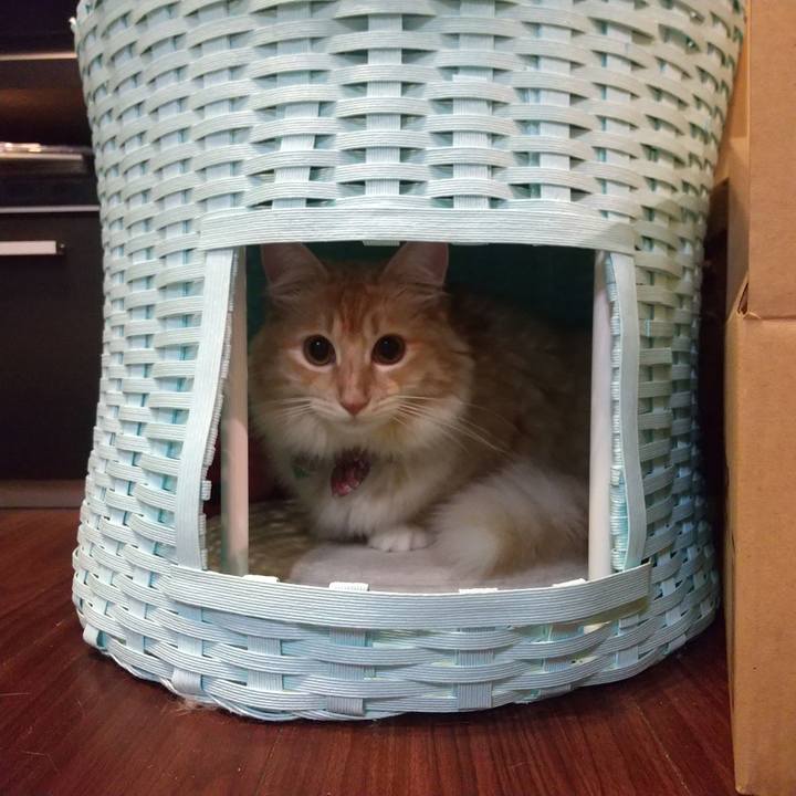 9e58d77d 387c 40b0 995a 544a2f4e6915 1633524042031