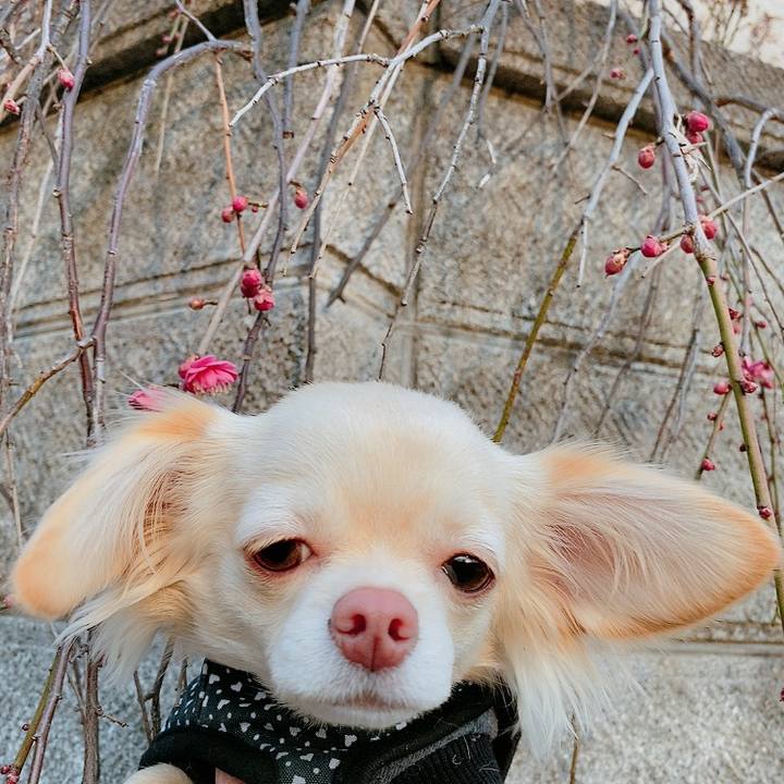 9e58e8fb f33a 4160 a6be 2d8543fc6434 1613125166813