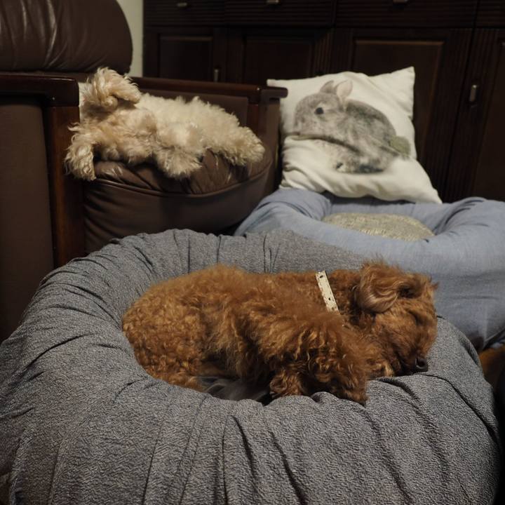 9e58f874 0b7d 45a4 8e9d 94e2c58b869d 1560790637797