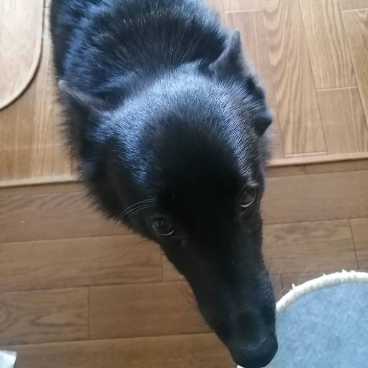 9e592417 25de 48b3 bb05 f058895be102 1635554861046