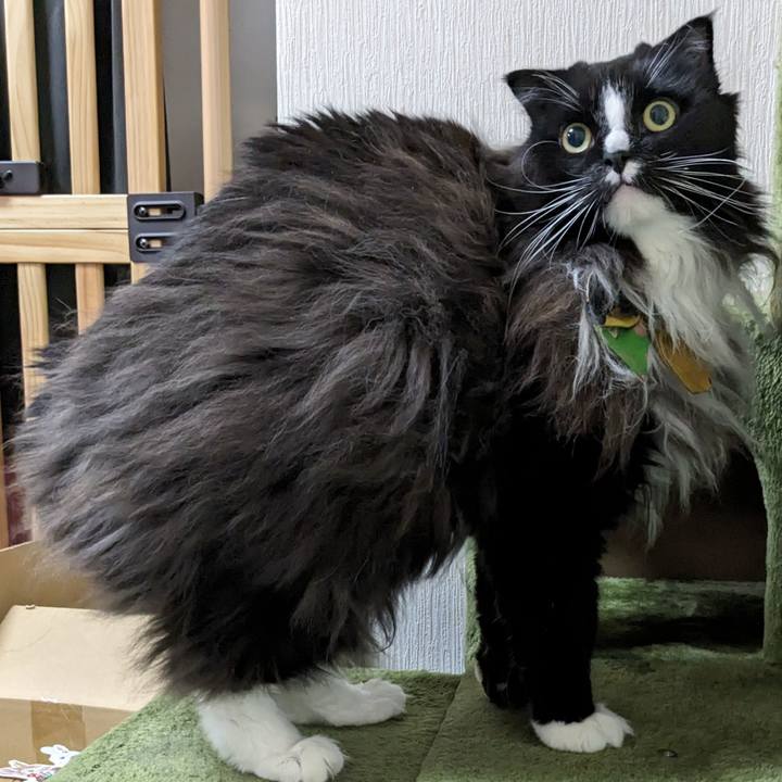 9e5925e7 25d6 470b 9267 2cb42b124eb7 1698722174825