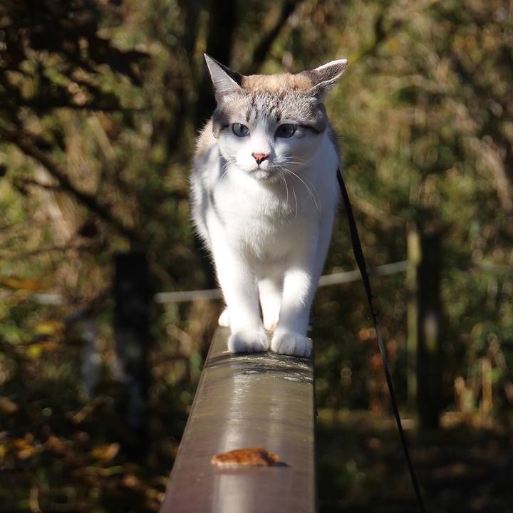 9e5933f9 8514 4544 b73e c173576321c6 1643160959562