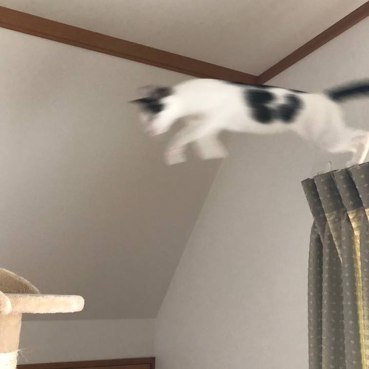 9e594ccf 844b 469d b9d0 e87f47440cf3 1568086346056