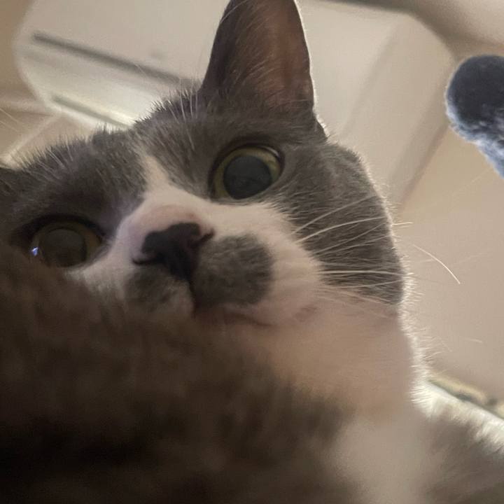 9e5969ea 9db2 42b8 bf66 0dd322def173 1746140905185