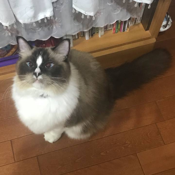 9e599a46 ec17 4ae3 931a 36a9be05376c 1509115957068