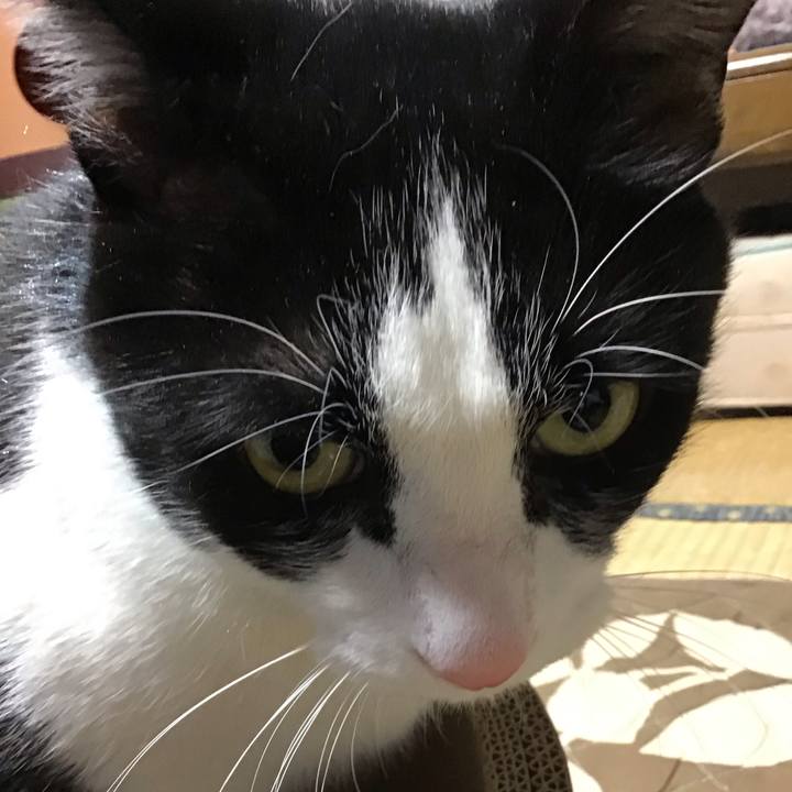 9e59a36d 3e32 4d62 acb2 81afde423e54 1741684631868