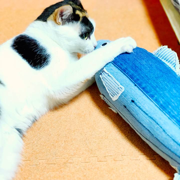 9e59a40a 8476 4b2e 8e60 7af7f2c0fedb 1539656078831