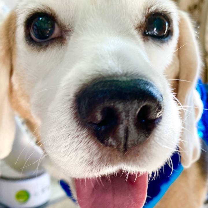 9e59c384 5927 473a b939 c43f9cdc083a 1605240644842