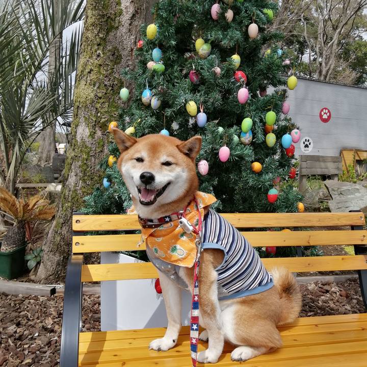 9e59deff 77e4 4ae4 8f21 4be269cfbe19 1648355635083