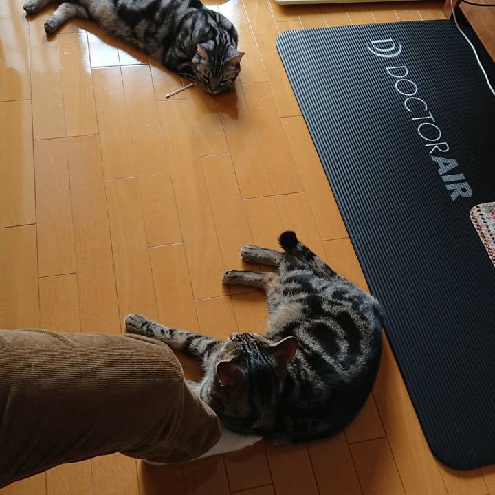 9e59e0a0 a8fa 402e bcce 7f6fecc31873 1548379939003