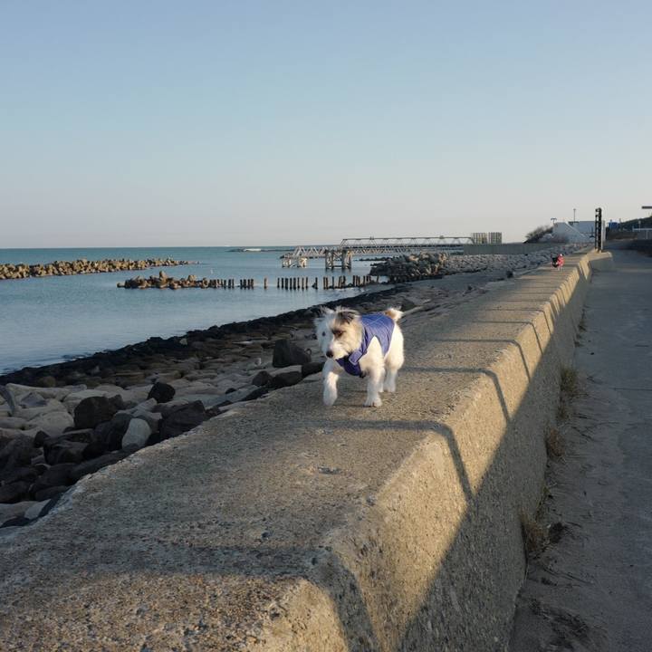 9e5a083b b2ea 46e9 bcf6 18d7cb8dfa1a 1576035393216