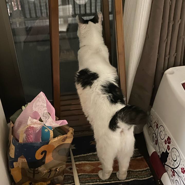 9e5a7956 4698 43f8 beeb bf13bae47cba 1663933111312