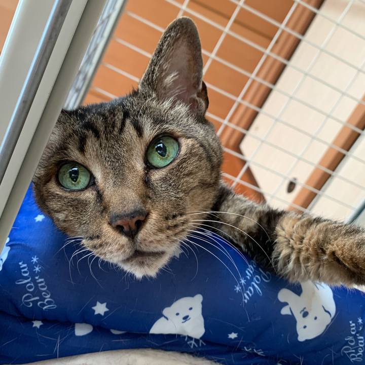 9e5a8a21 d153 4e52 bbe9 19295565befe 1593911797982