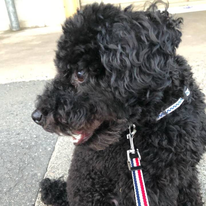 9e5aeb25 cb0d 4ca3 906c 27ea6f2fa864 1528366293286