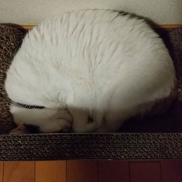 9e5afa3d 33c3 4d2d afa2 dc2f2b31a1db 1588594891602