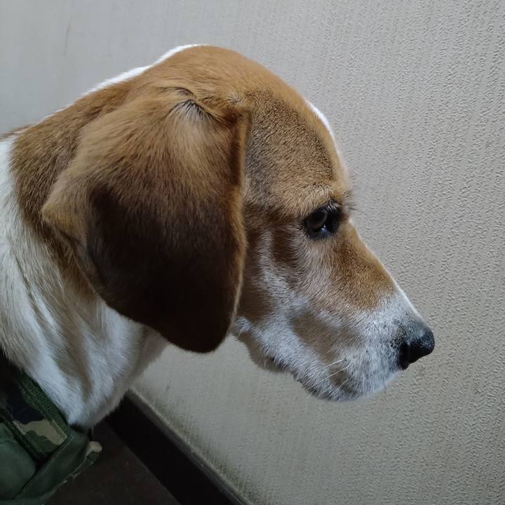 9e5b00a6 33b9 4a81 be23 260a663bc945 1671539619813