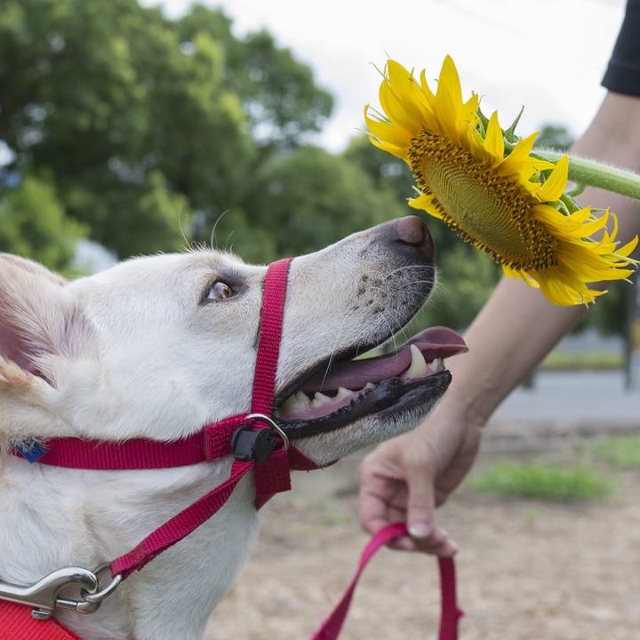 9e5b0cc6 222d 46c9 812f aeaa6179ebfb 1534441786073