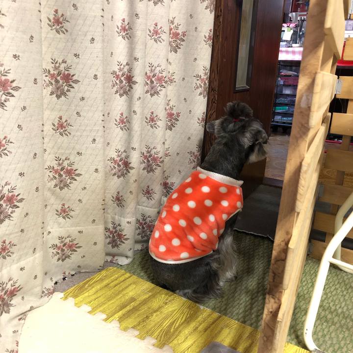 9e5b2771 22e5 4155 b179 c602bef5e5de 1649072916098