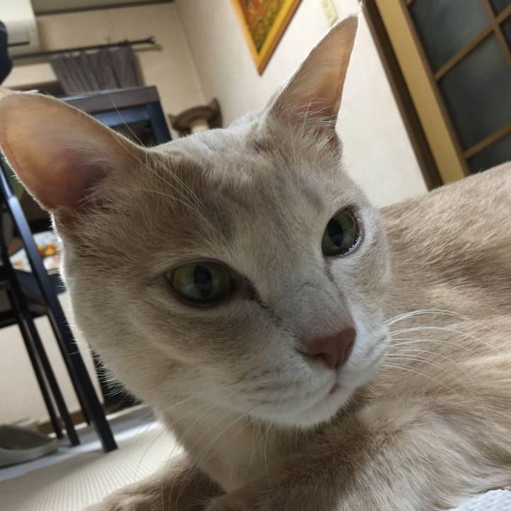 9e5b72a3 ab63 4d1f 8be2 ae05c7de2483 1608119855737