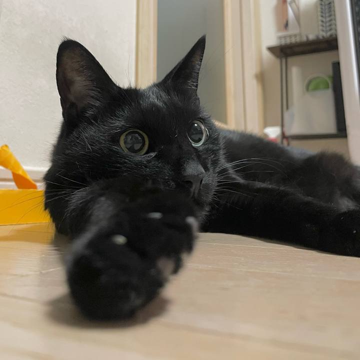 9e5ba765 9d20 4939 9550 25e789387a37 1734095190341