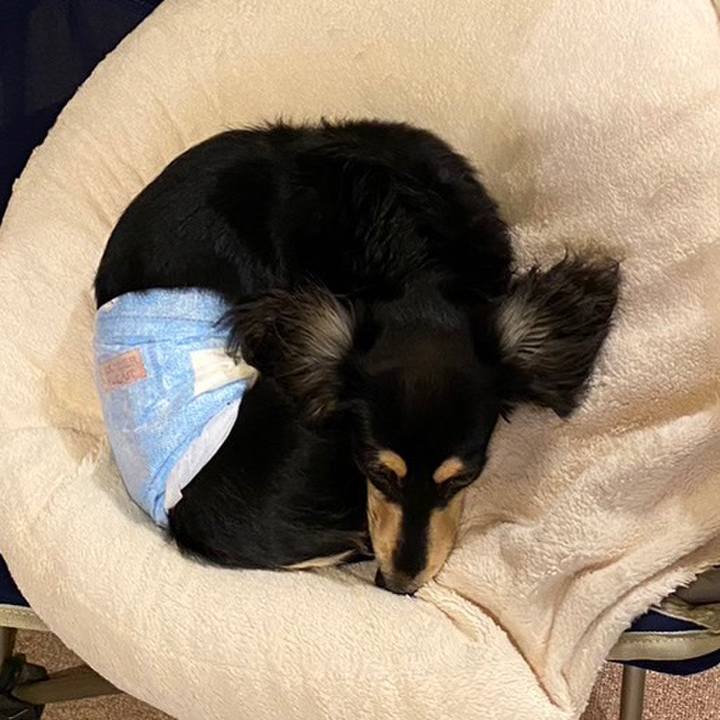 9e5baa85 75ec 4e56 bfda 2674b3e1a8cd 1676847855502