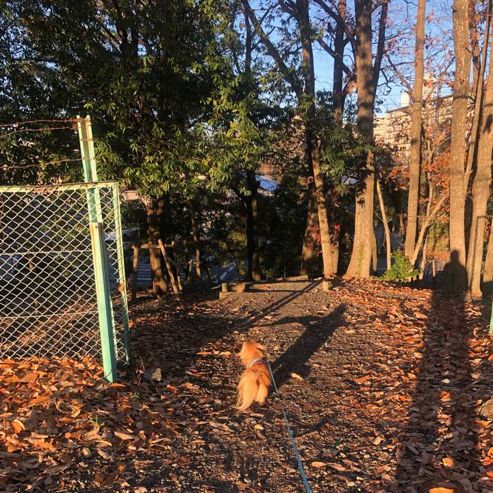 9e5bb5e6 a76e 4b48 9e52 32b8917da1fe 1546130312896