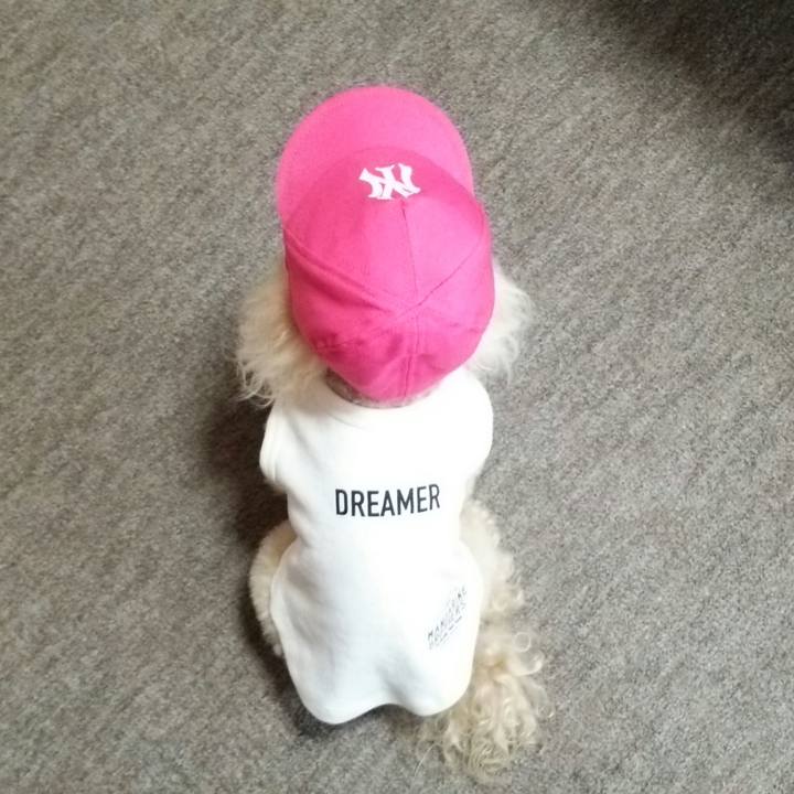 9e5bb848 cc4d 4ed5 8c7e a3409d836be0 1531819563163