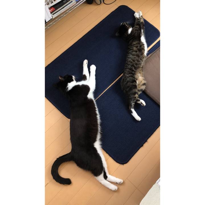 9e5bc041 039c 4b89 a5f9 1c96654bf198 1632512867297