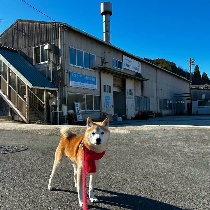 9e5bdc44 90c4 4712 8d3a 5d8c29833f29 1767951773572