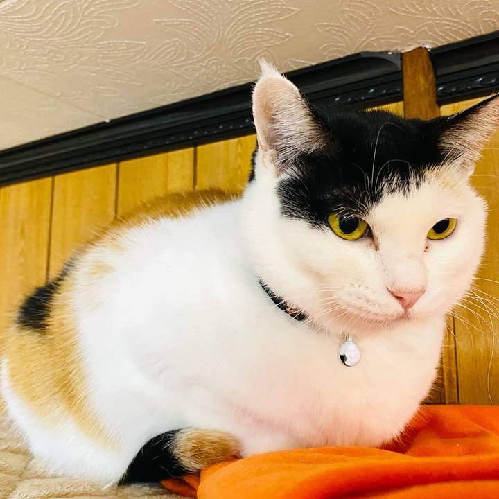 9e5bf78f 76de 4662 8b80 03f594c3caa0 1669065165326