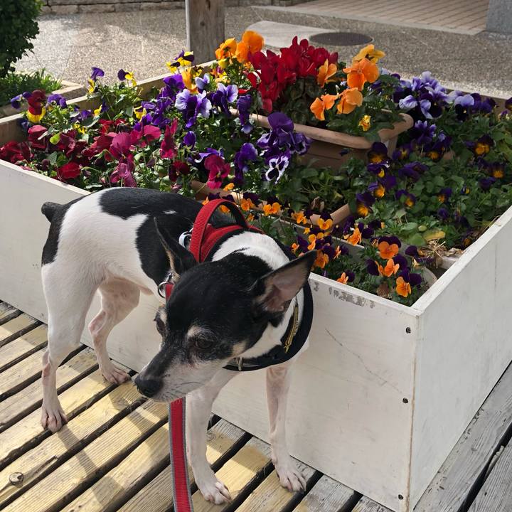 9e5c2355 e9c4 4d70 9f1a 7d600b9b3b83 1554429421680