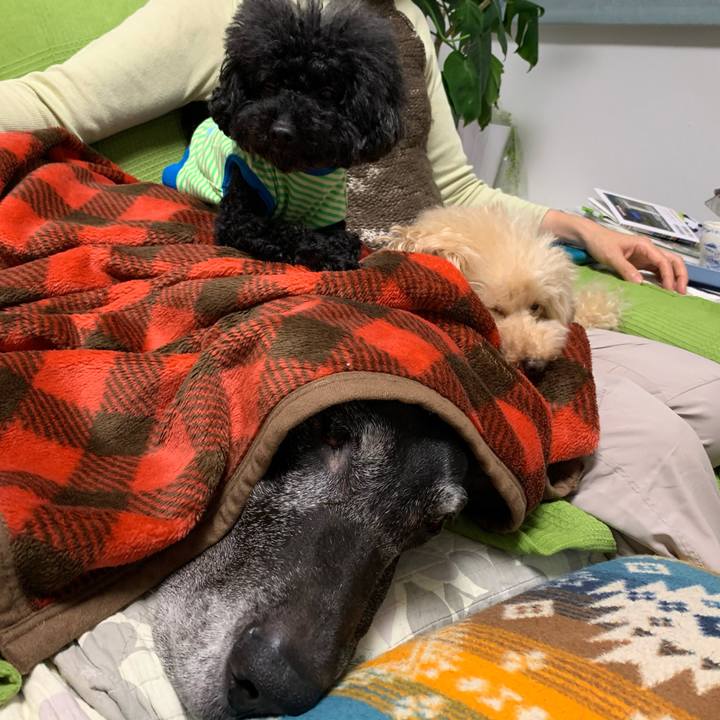 9e5c27d9 a608 4189 9179 7fdb2021de76 1572008817552