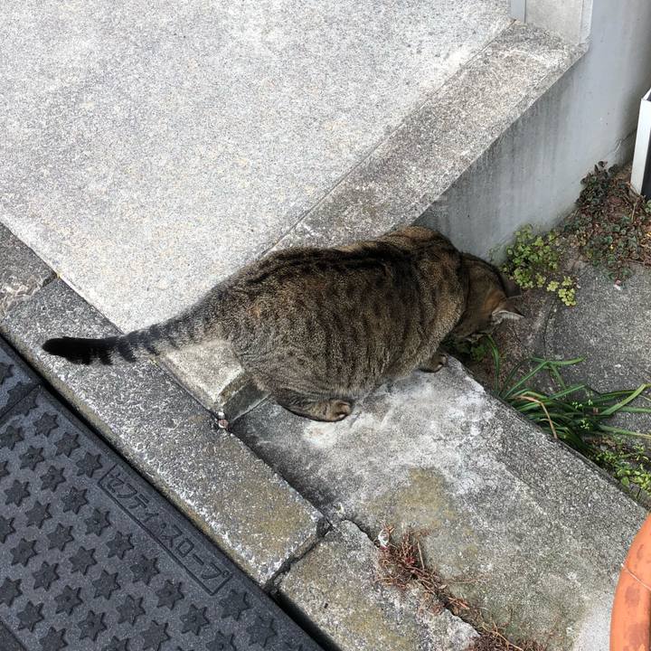 9e5c7c2c 24a8 44f6 ac0a 33ec1c2e8f6c 1521963295104