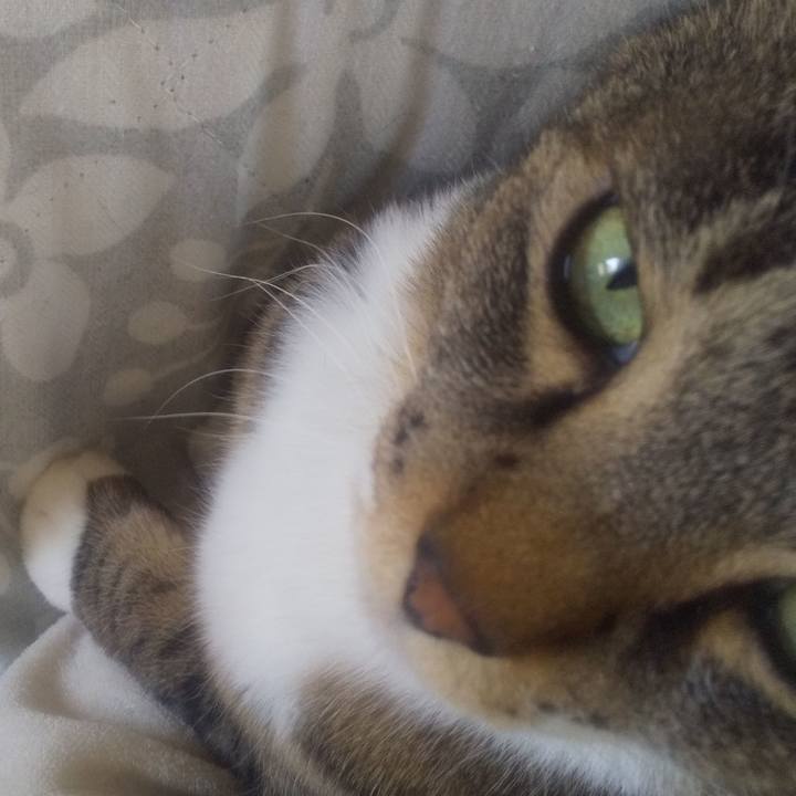 9e5cc0d5 2fc9 4030 ad02 7963d125156d 1706334057238