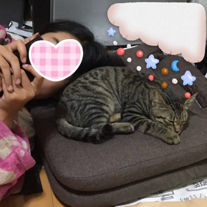 9e5cdbb9 e7c1 48cb 8ec6 7c9cbf67f890 1537437992878