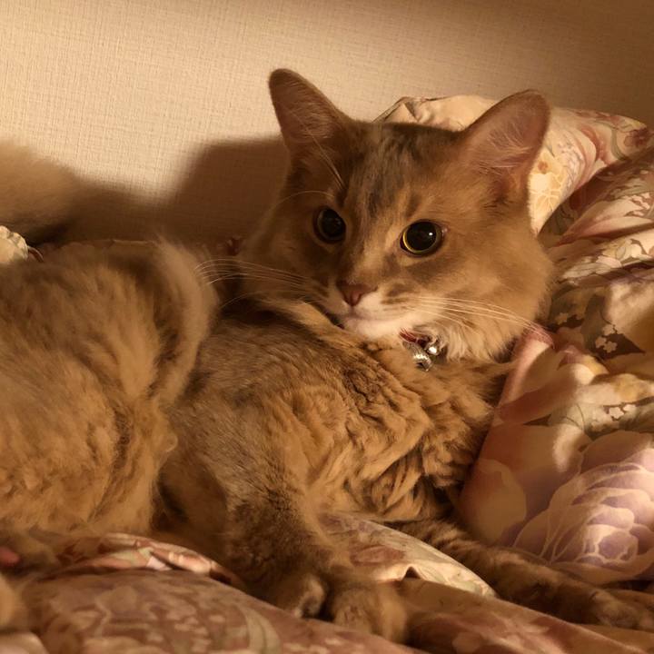 9e5ceaed 8b29 4f2b 941e f0491c7b1085 1597847578315