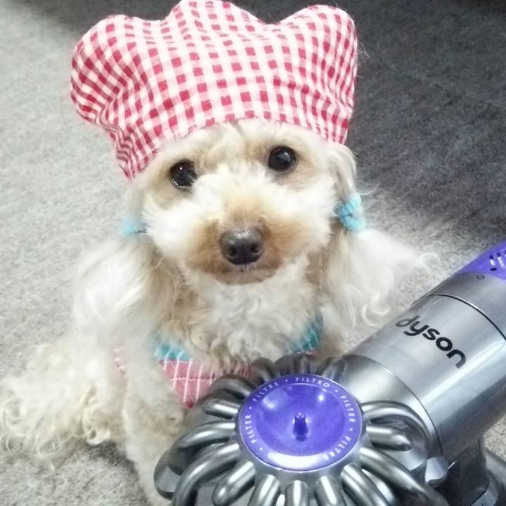 9e5d379d 4bca 4420 83ad b795e8721386 1535617062857